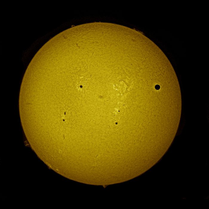 Coronado best sale solar scope