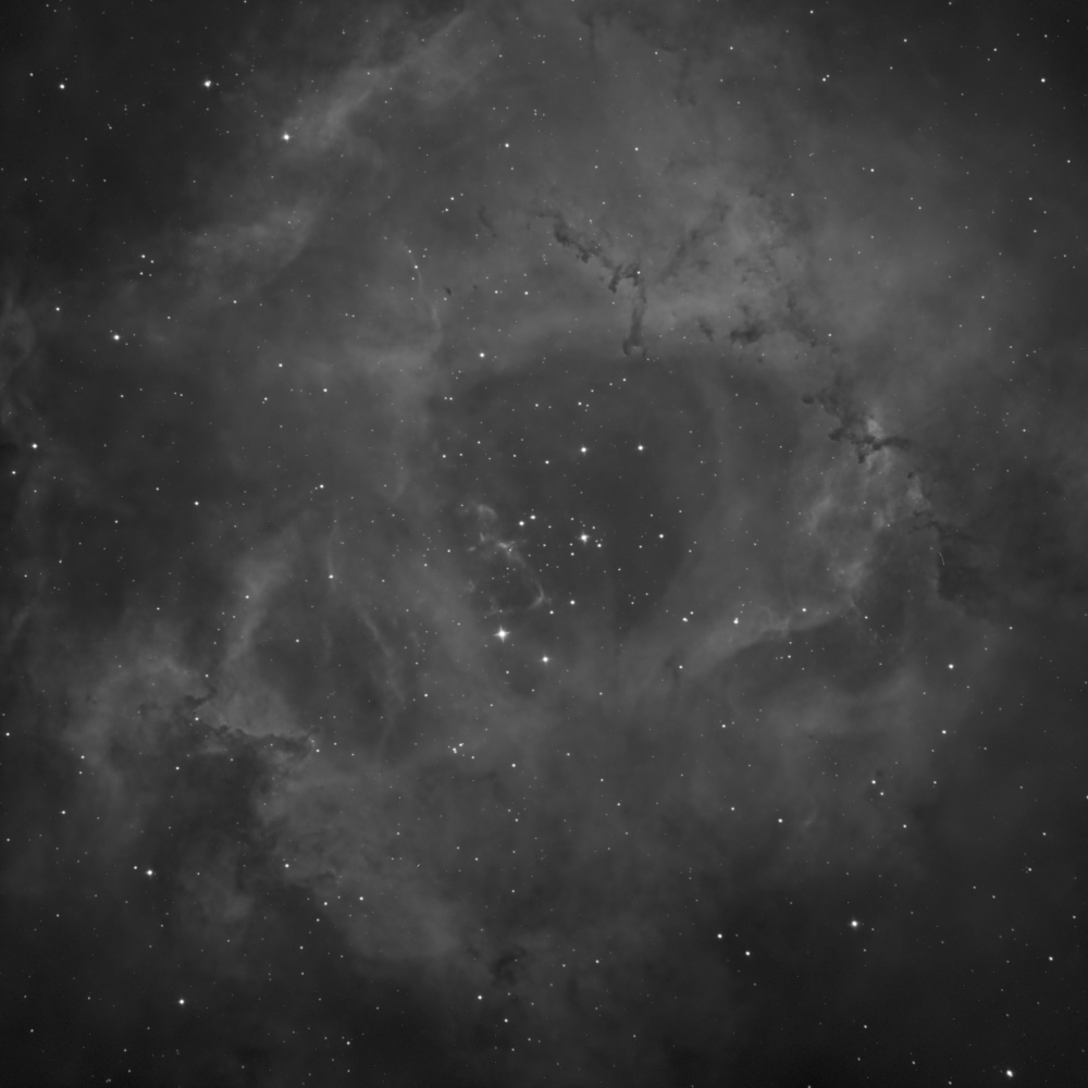 Rosette with the CarbonStar 150 Single Frame