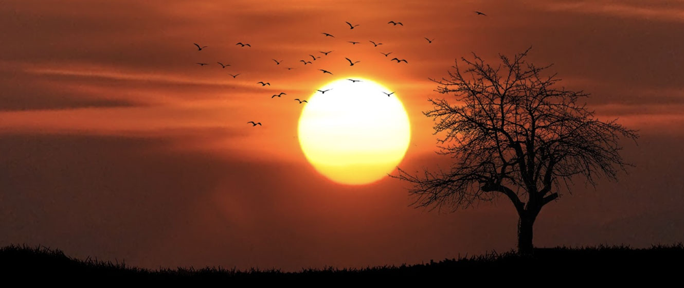 view of the sun
