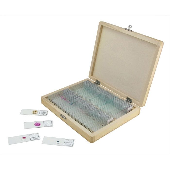 Celestron Prepared Microscope Slide Set - 100 Piece
