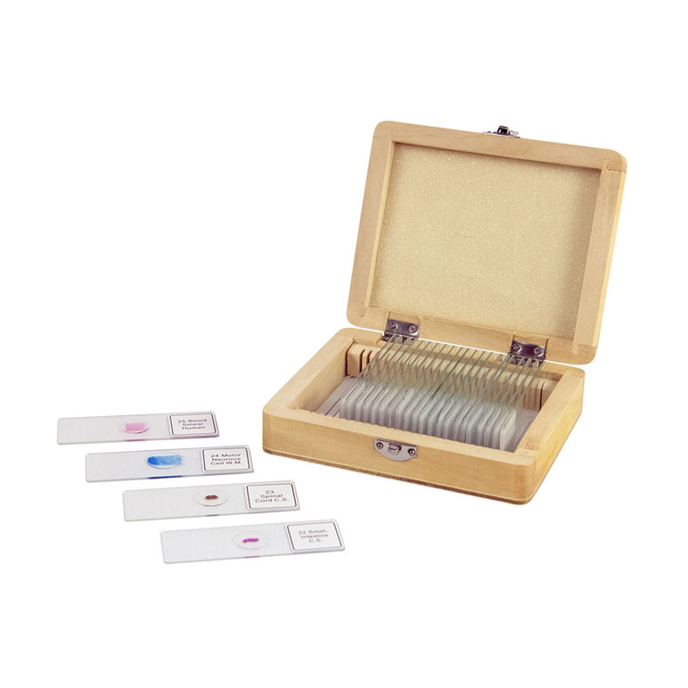 Celestron Prepared Microscope Slide Set - 25 Piece
