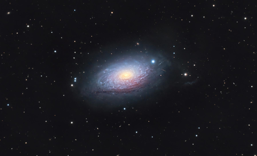 astrobin image