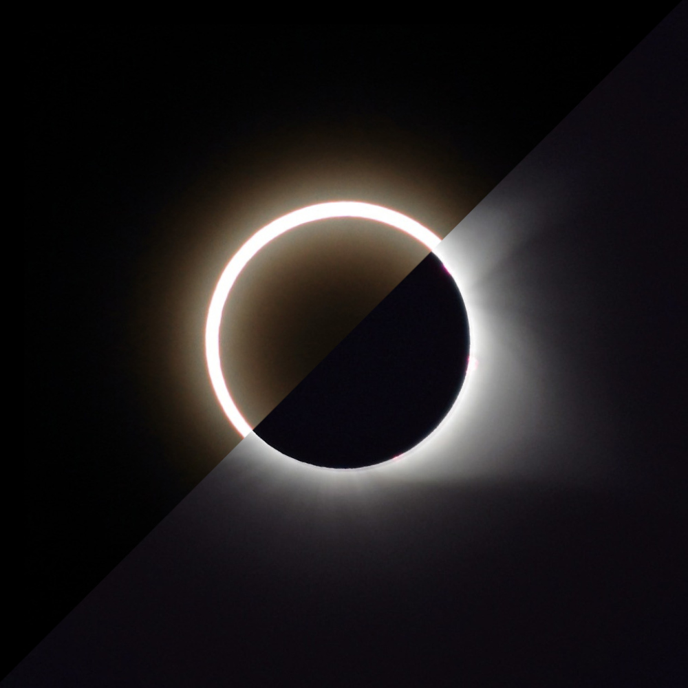 An image showing both an Annular and Total solar eclipse