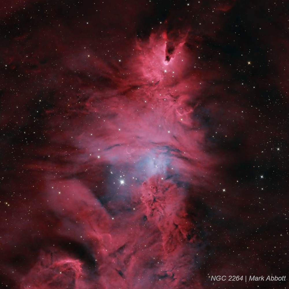 {{Image of the Cone nebula and Christmas Tree cluster captured through the CarbonStar 150}}
