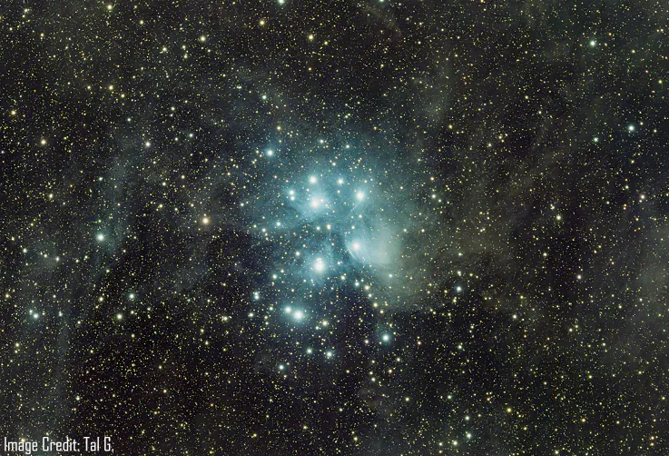 The Pleiades by Verified Buyer Tal G.