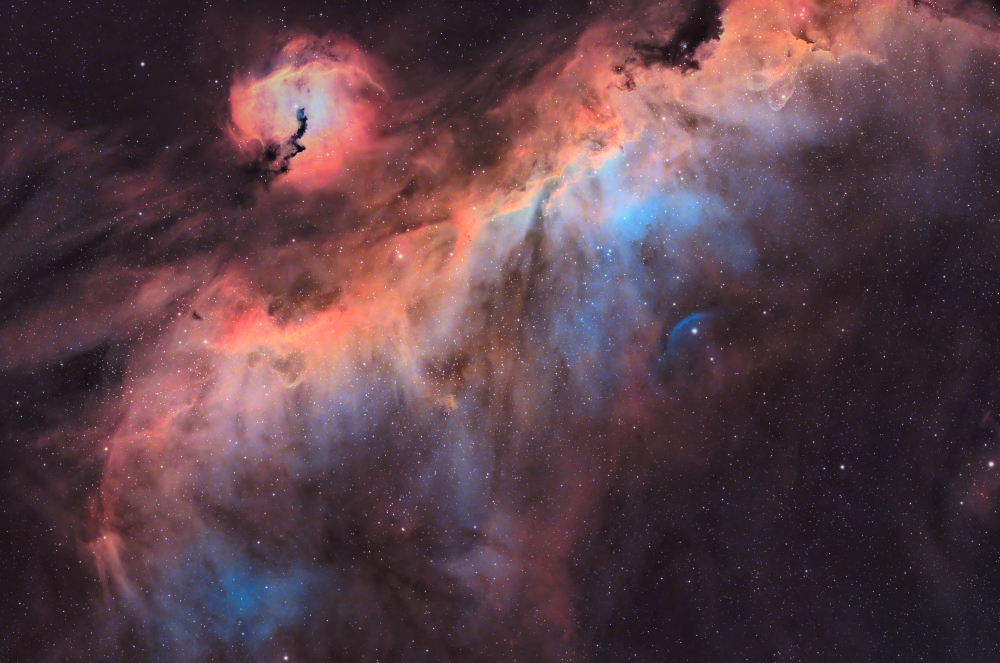 Seagull Nebula by Gear Expert Kurt K