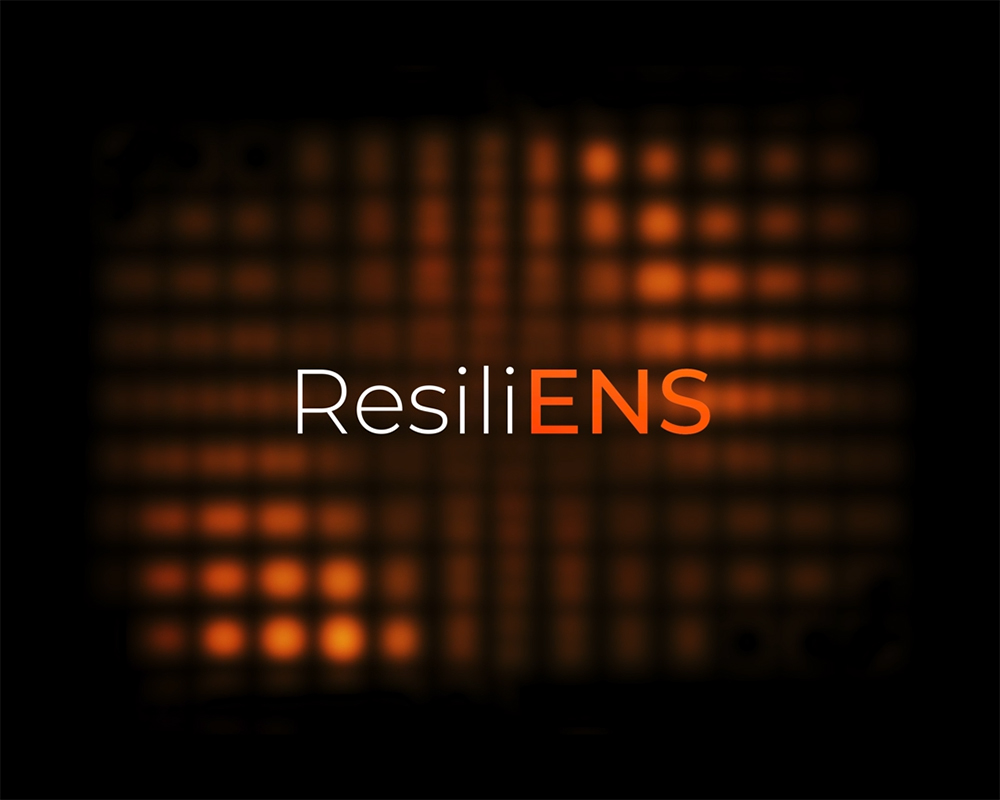 Logo for Vaonis' PerseverENS feature