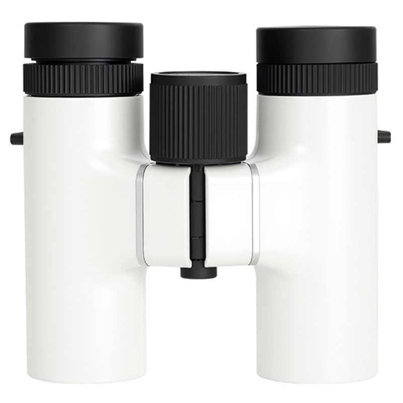 Seestar Binoculars Standing Upright