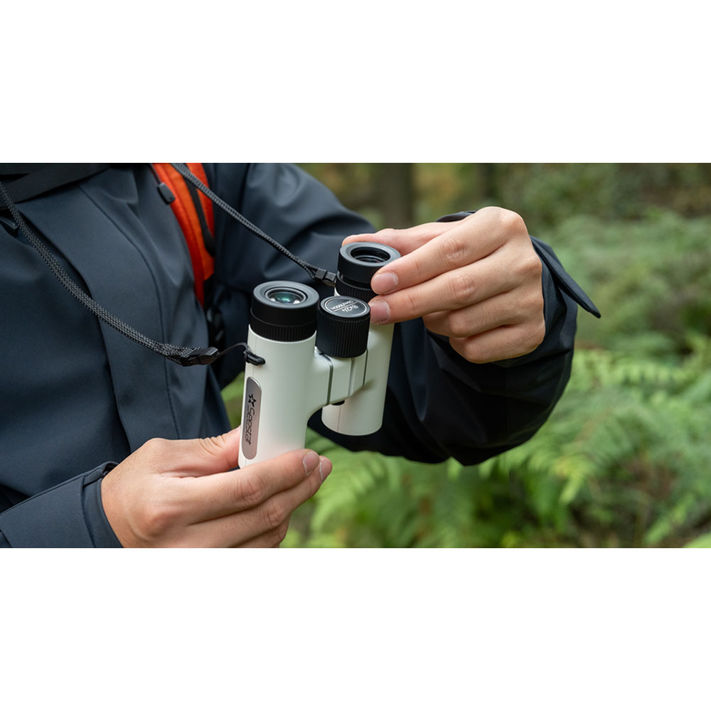 Seestar Binoculars being adjusted