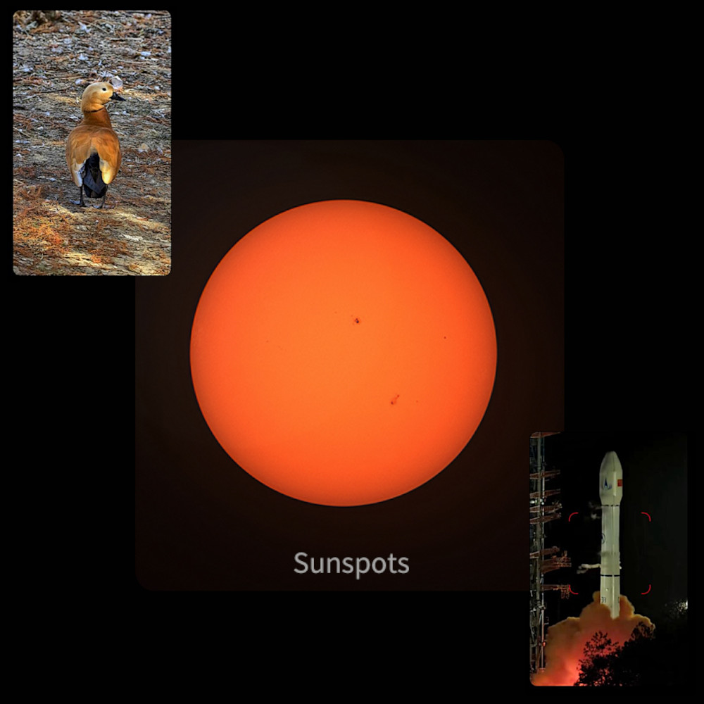 Image of the Sun, a bird, and a rocket launch