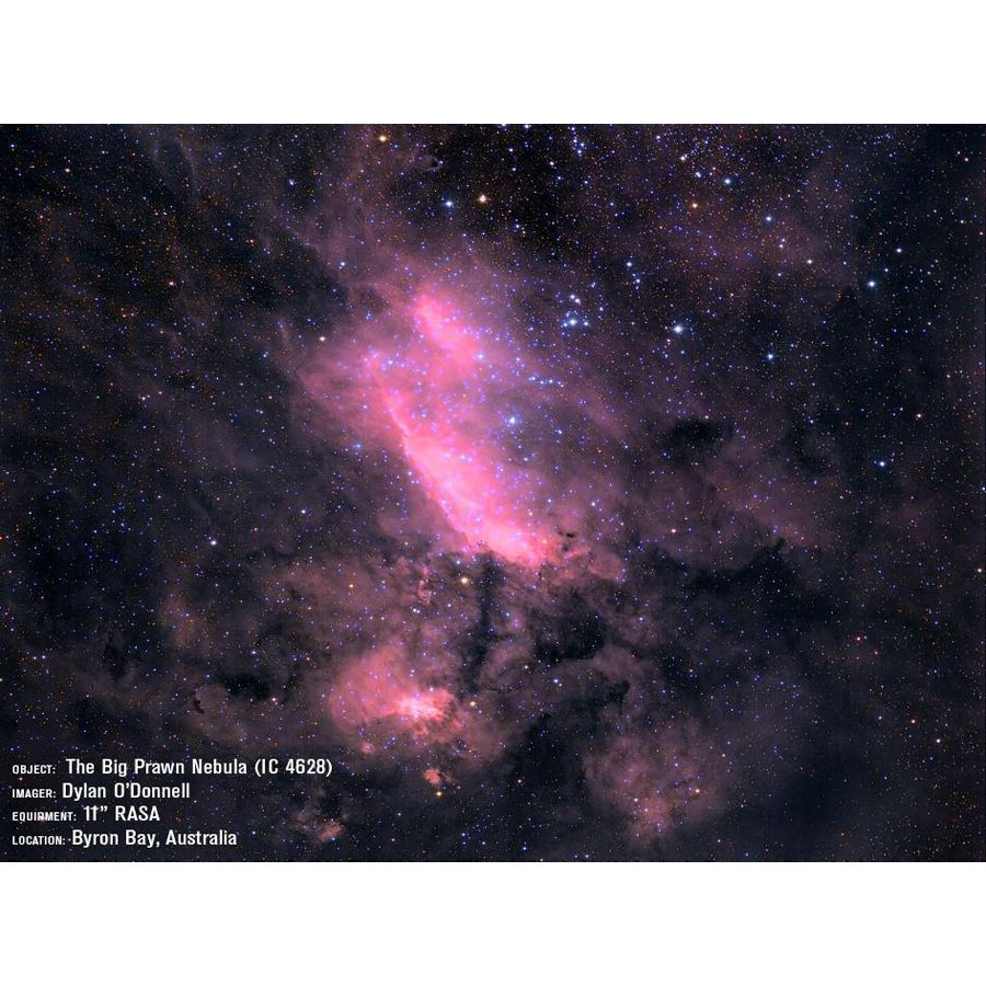 {{RASA 11 prawn nebula}}