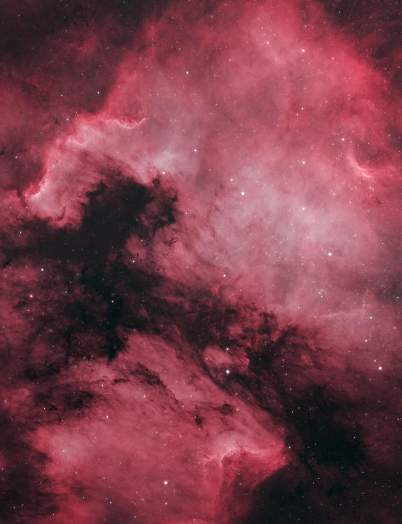 {{Apertura AD8 Dobsonian reflector telescope, front of tube facing camera}}