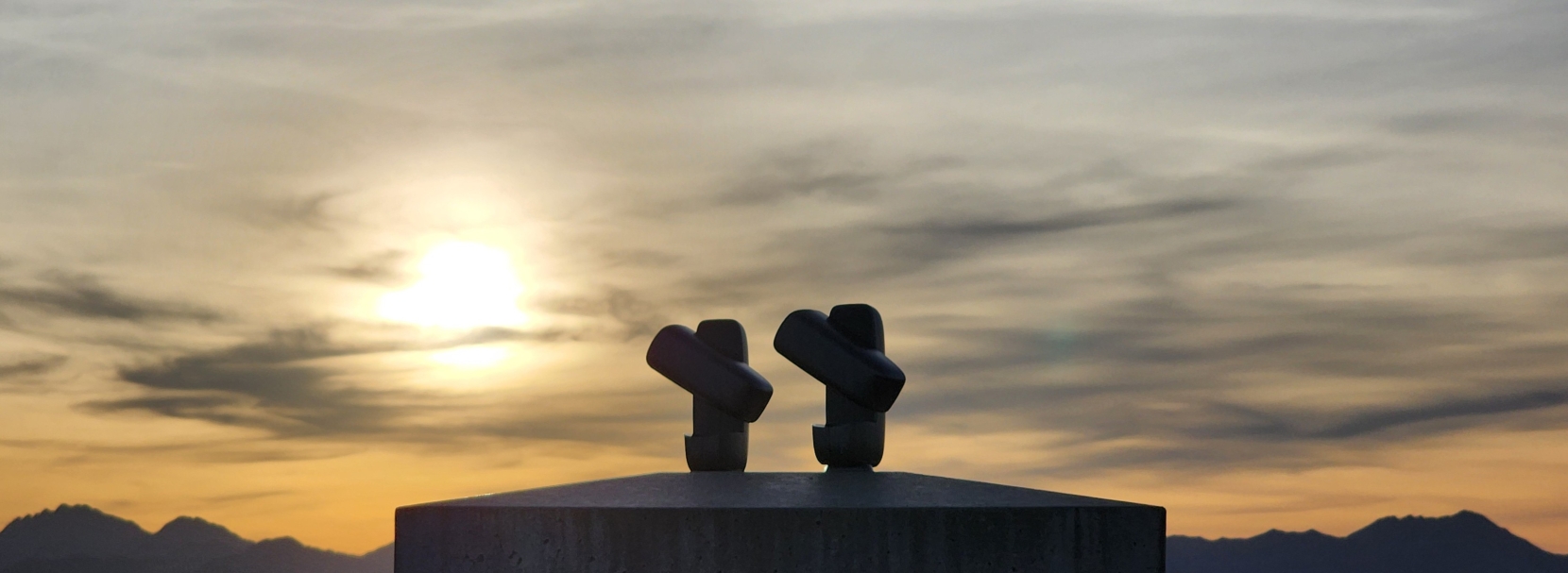 Photo of two DWARF Minis with sunset background