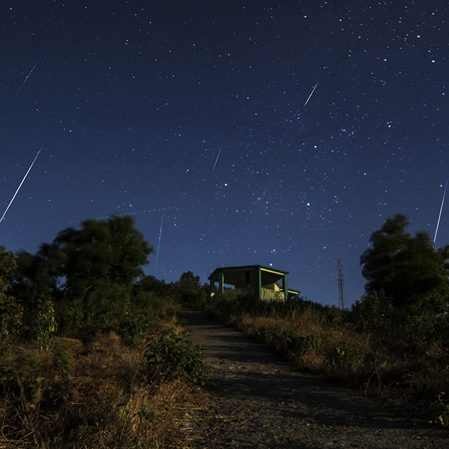 Geminid Meteor Shower