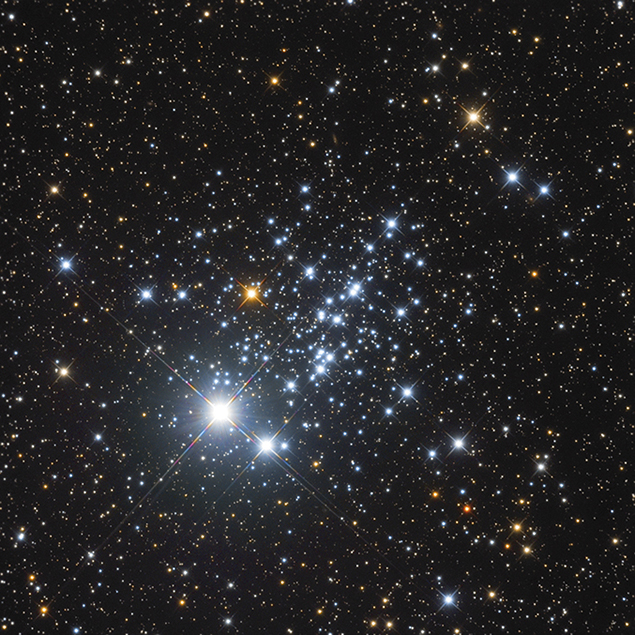 The Owl Cluster