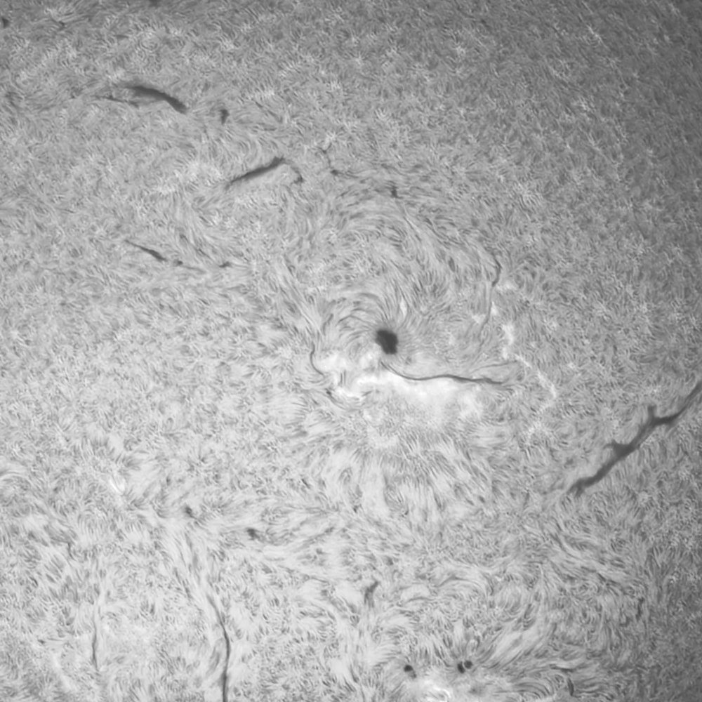 A close up of the solar surface
