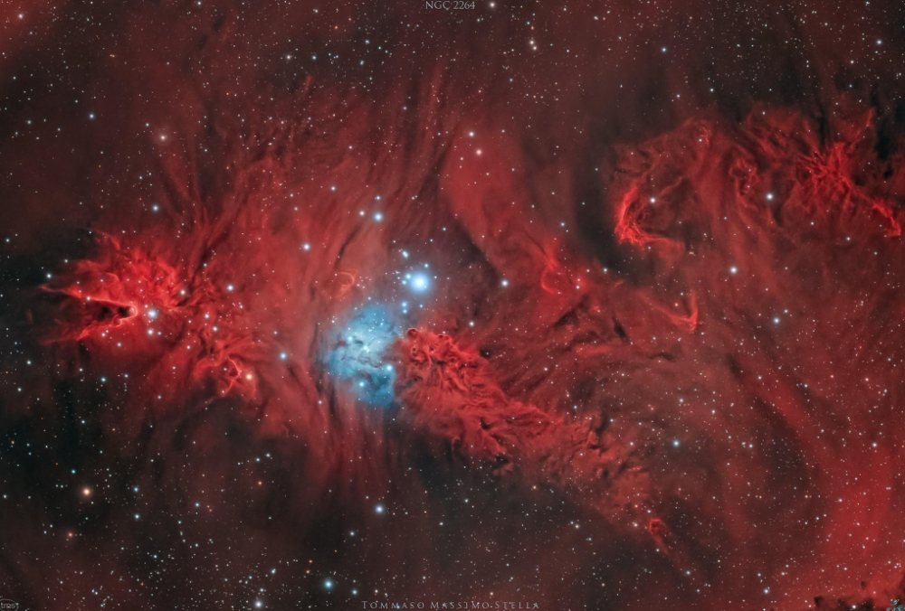 Optolong L-eNhance Christmas Tree Nebula